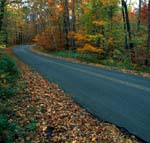 Fall Road