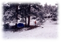 5" of Snow